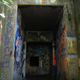 Illustration for article titled Finding Abandoned WWII Bunkers On Washingtons Olympic Peninsula